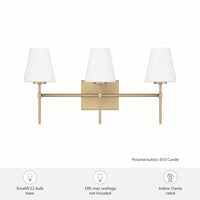 Camelia Stem 24-inch 3-light Luxe Gold and Cased White Glass Vanity Light with Cased White Glass