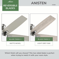 52 inch Anisten Brushed Nickel Ceiling Fan with LED Light Kit and Pull Chain