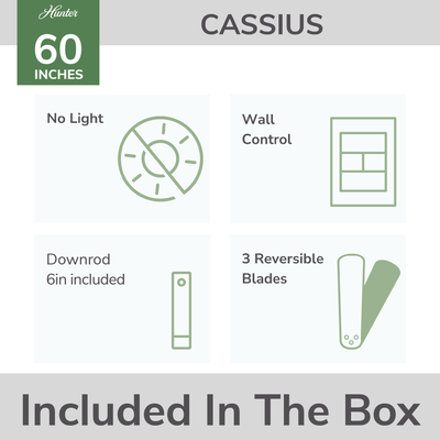 60 inch Cassius ENERGY STAR® Premier Bronze Damp Rated Ceiling Fan and Wall Control