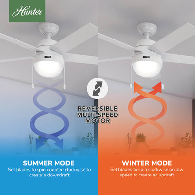 52 inch Anslee Fresh White Ceiling Fan with LED Light Kit and Pull Chain