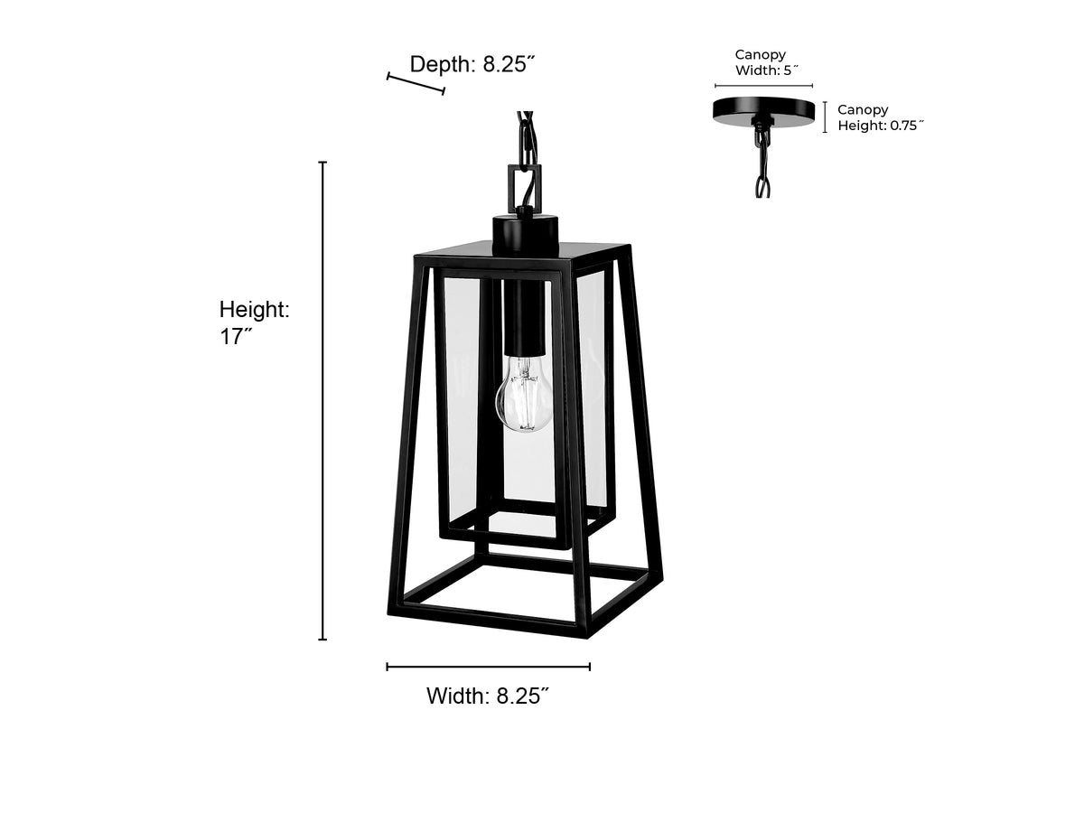 17'' Denzell Powder Coated Black 1 Light Hanging Lantern