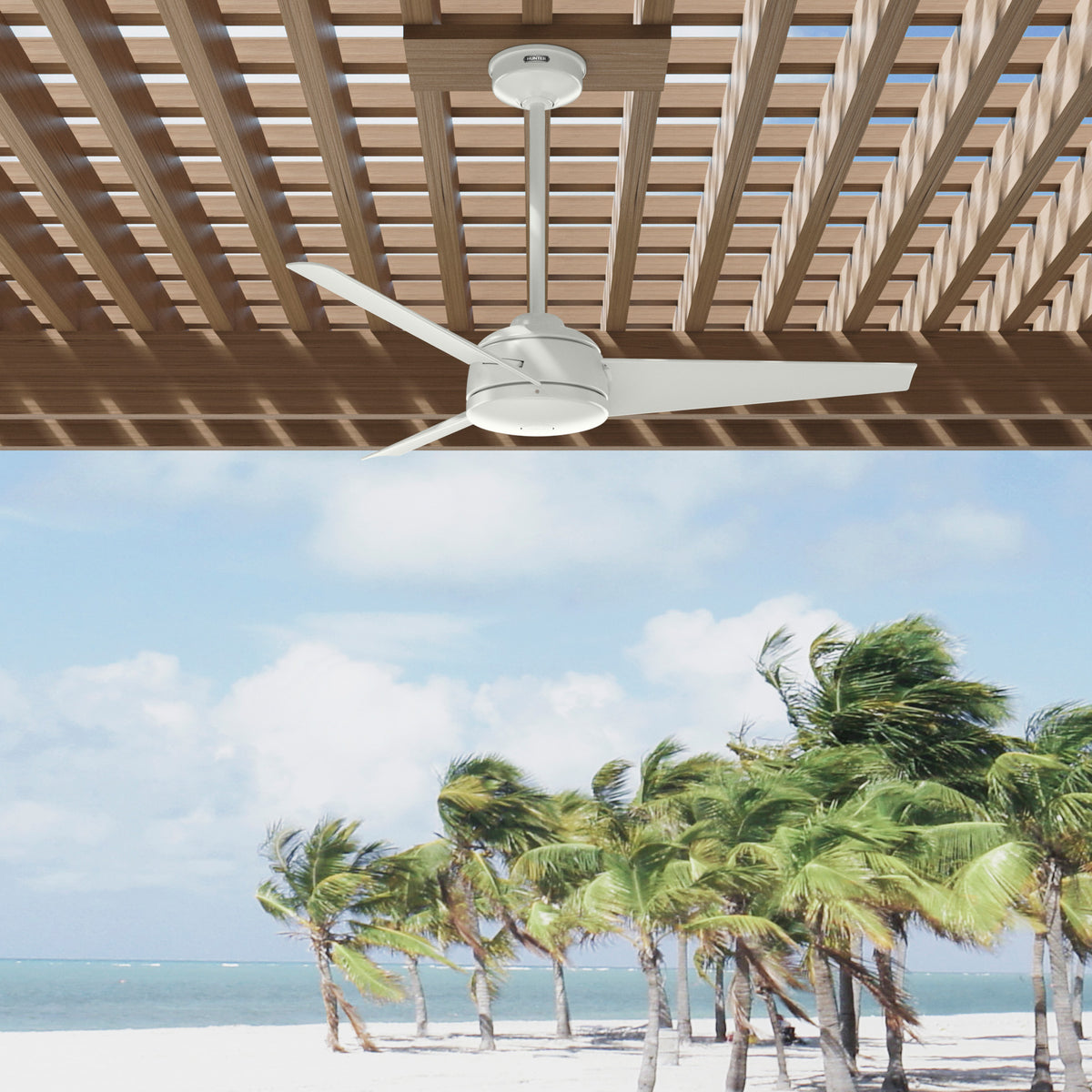 52 inch Trimaran Fresh White WeatherMax Indoor / Outdoor Ceiling Fan and Wall Control