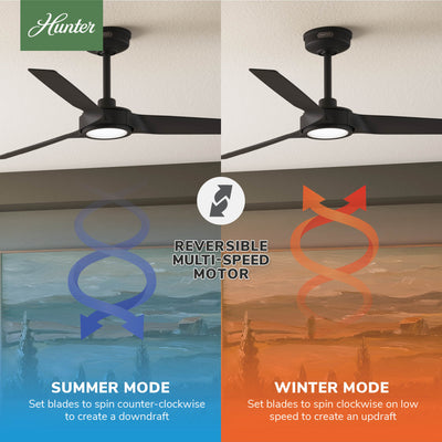 52 inch Zentech Wi-Fi ENERGY STAR® Matte Black Damp Rated Ceiling Fan with LED Light Kit and Remote
