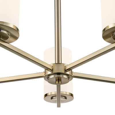 24-inch Verlana Modern Gold 5-Light Etched White Glass Chandelier