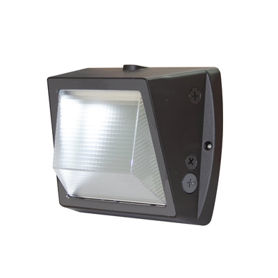 10.75-inch Bronze Outdoor Outdoor Wall Light