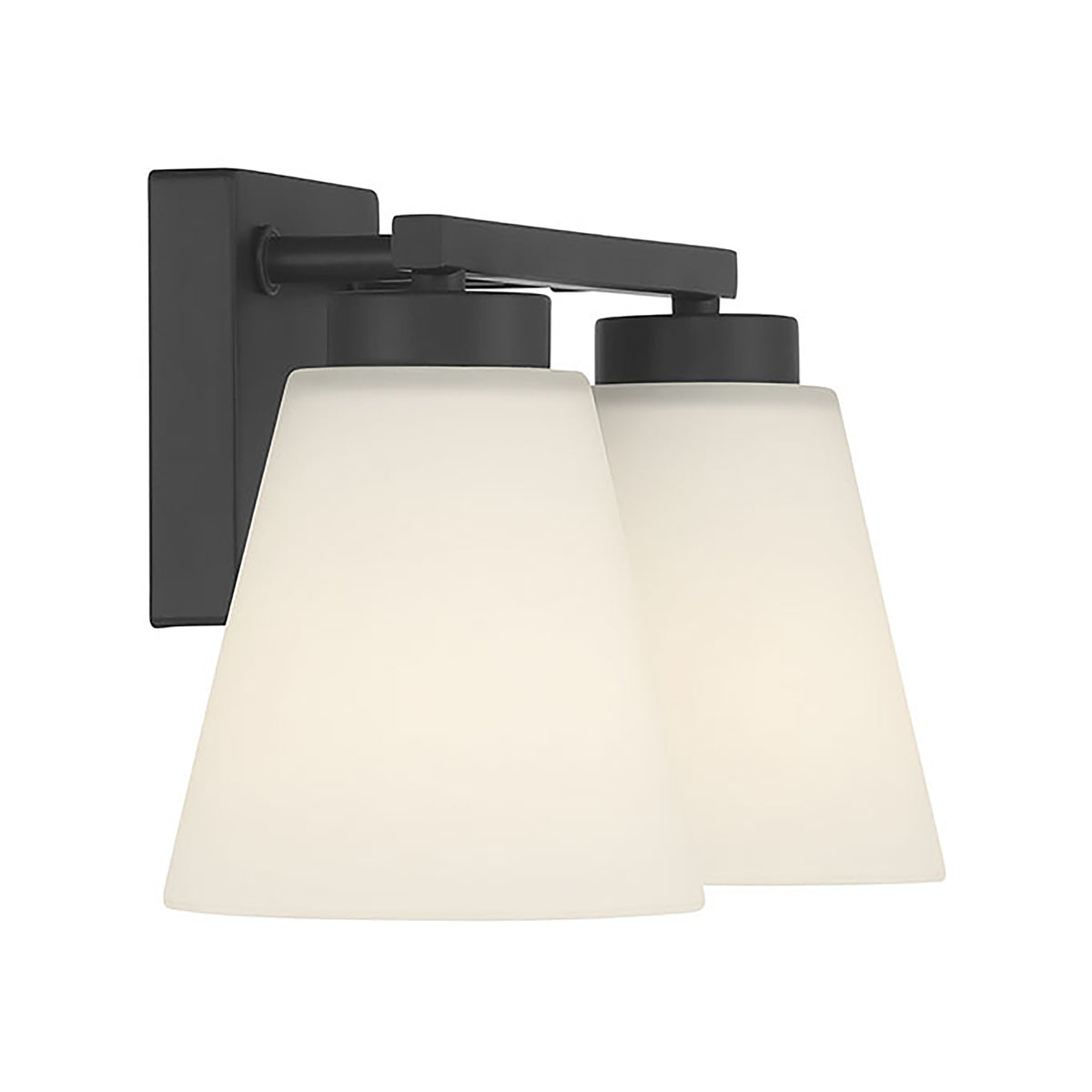 13-inch Strayhan Matte Black 2-Light White Frosted Glass Bathroom Vanity Light