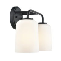 14'' Laphia Matte Black 2 Light Bath Vanity