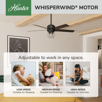 52 inch Xidane Matte Black Ceiling Fan with LED Light Kit and Handheld Remote