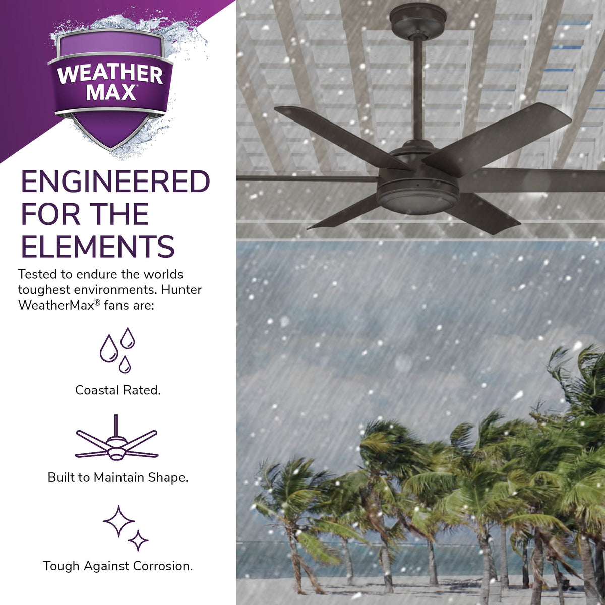 52 inch Jetty Noble Bronze WeatherMax Indoor / Outdoor Ceiling Fan and Wall Control