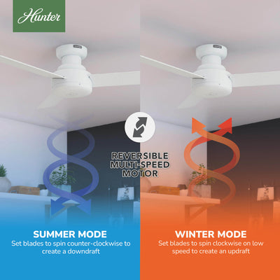44 inch Presto Matte White Low Profile Ceiling Fan and Wall Control