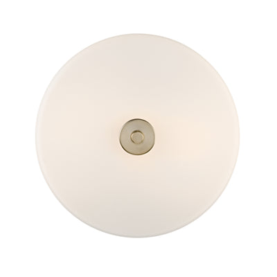 10'' Verlana Modern GoldEtched Opal 2 Light Semi-Flush Mount