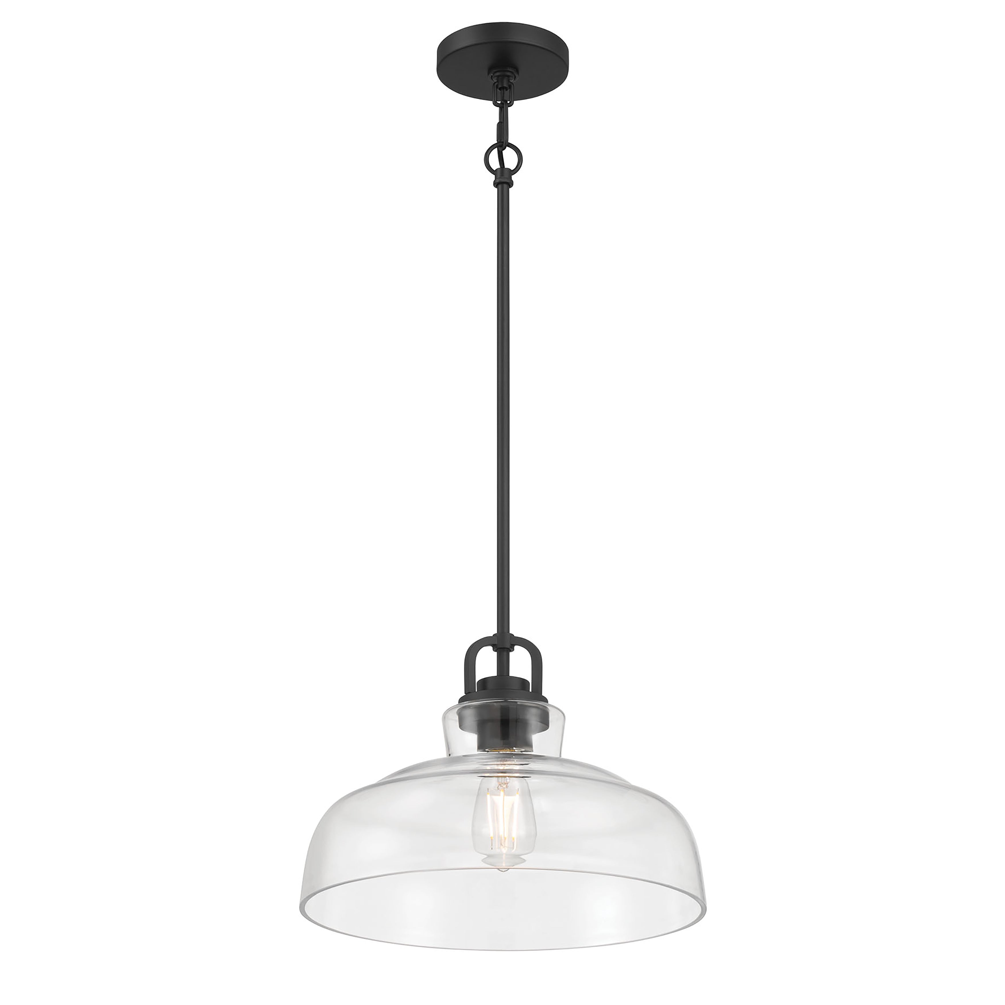 10'' Clarien Matte Black 1 Light Pendant