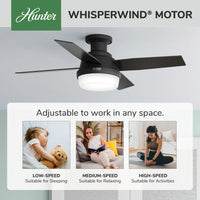 44 inch Dempsey Matte Black Low Profile Ceiling Fan with LED Light Kit and Handheld Remote