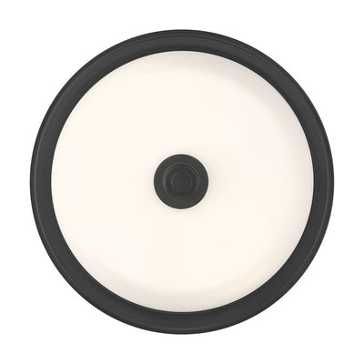 13-inch Strayhan Matte Black 2-Light White Frosted Glass Flush Mount Ceiling Light
