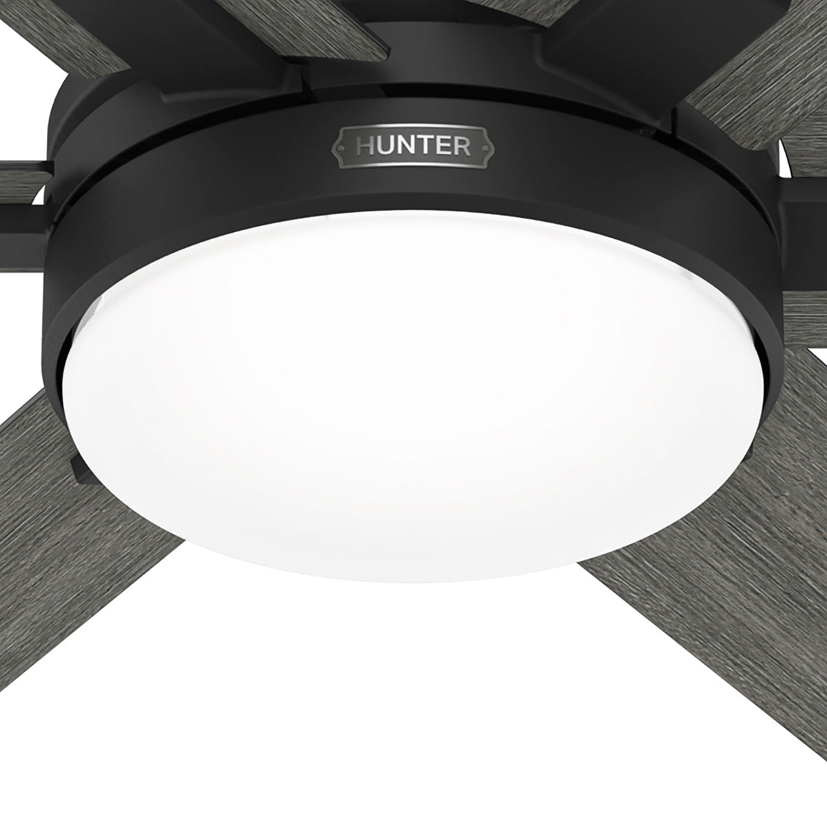 52 inch Georgetown ENERGY STAR® HunterExpress Matte Black Ceiling Fan with LED Light Kit and Handheld Remote