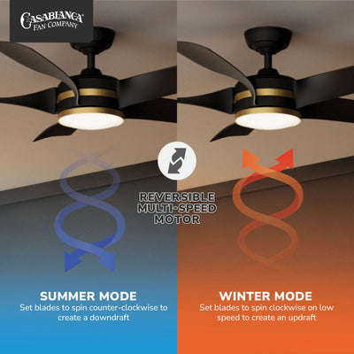 Casablanca 52 inch Julia ENERGY STAR® Matte Black Damp Rated Ceiling Fan with LED Light Kit and Wall Control and Handheld Remote