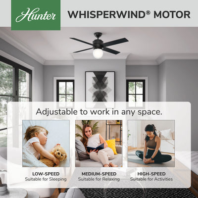 52 inch Hepburn Matte Black Ceiling Fan with LED Light Kit and Wall Control