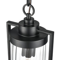 19'' Braselton Powder Coated Black 1 Light Hanging Lantern