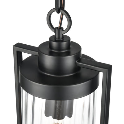 19'' Braselton Powder Coated Black 1 Light Hanging Lantern