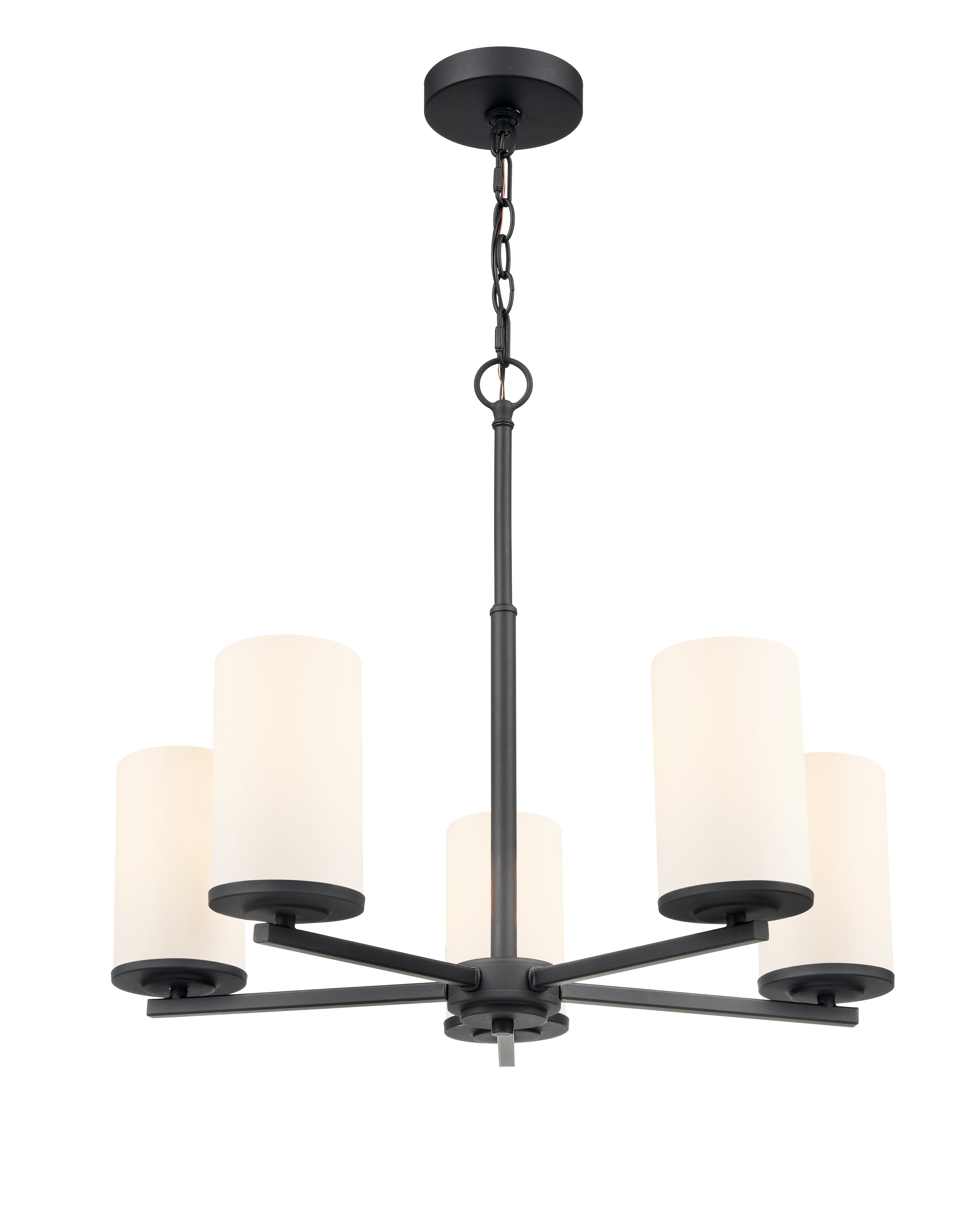 24-inch Verlana Matte Black 5-Light Etched White Glass Chandelier