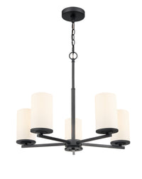 24-inch Verlana Matte Black 5-Light Etched White Glass Chandelier