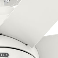 52 inch Brazos ENERGY STAR® Fresh White Damp Rated Ceiling Fan with LED Light Kit and Handheld Remote