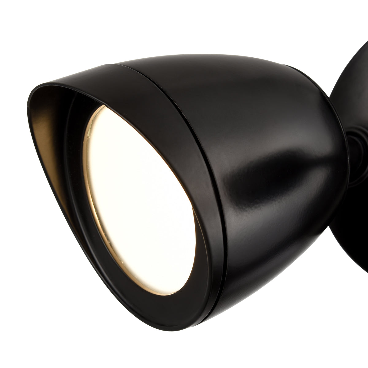 10.5''  Powder Coated Black Flood Light