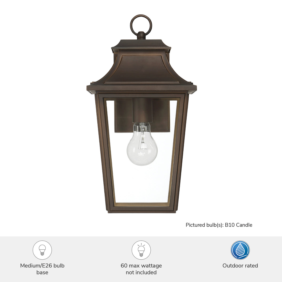 Spring Cove 15-inch 1-light Matte Bronze Outdoor Wall Light with Clear Glass