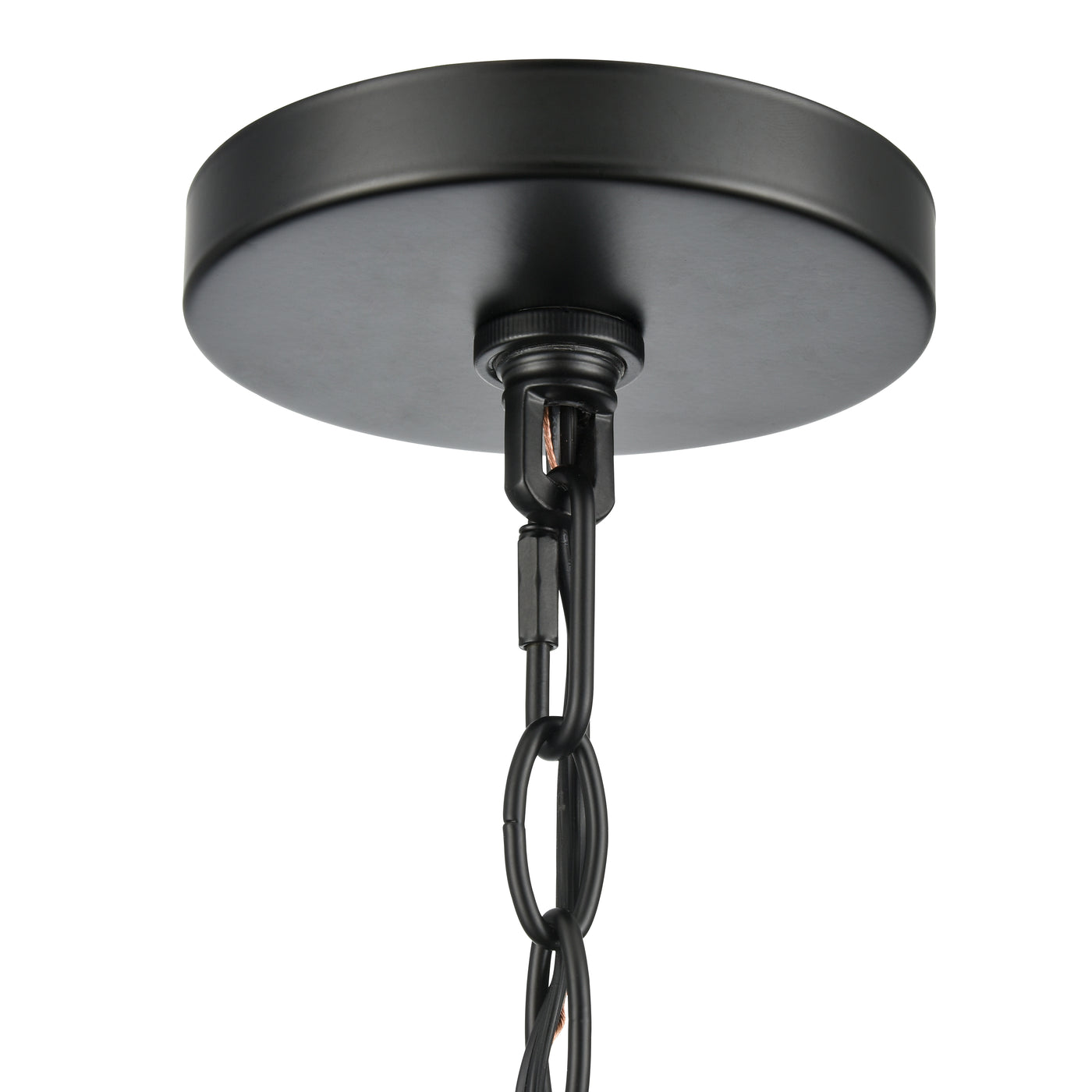 19'' Braselton Powder Coated Black 1 Light Hanging Lantern