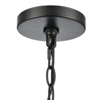 19'' Braselton Powder Coated Black 1 Light Hanging Lantern