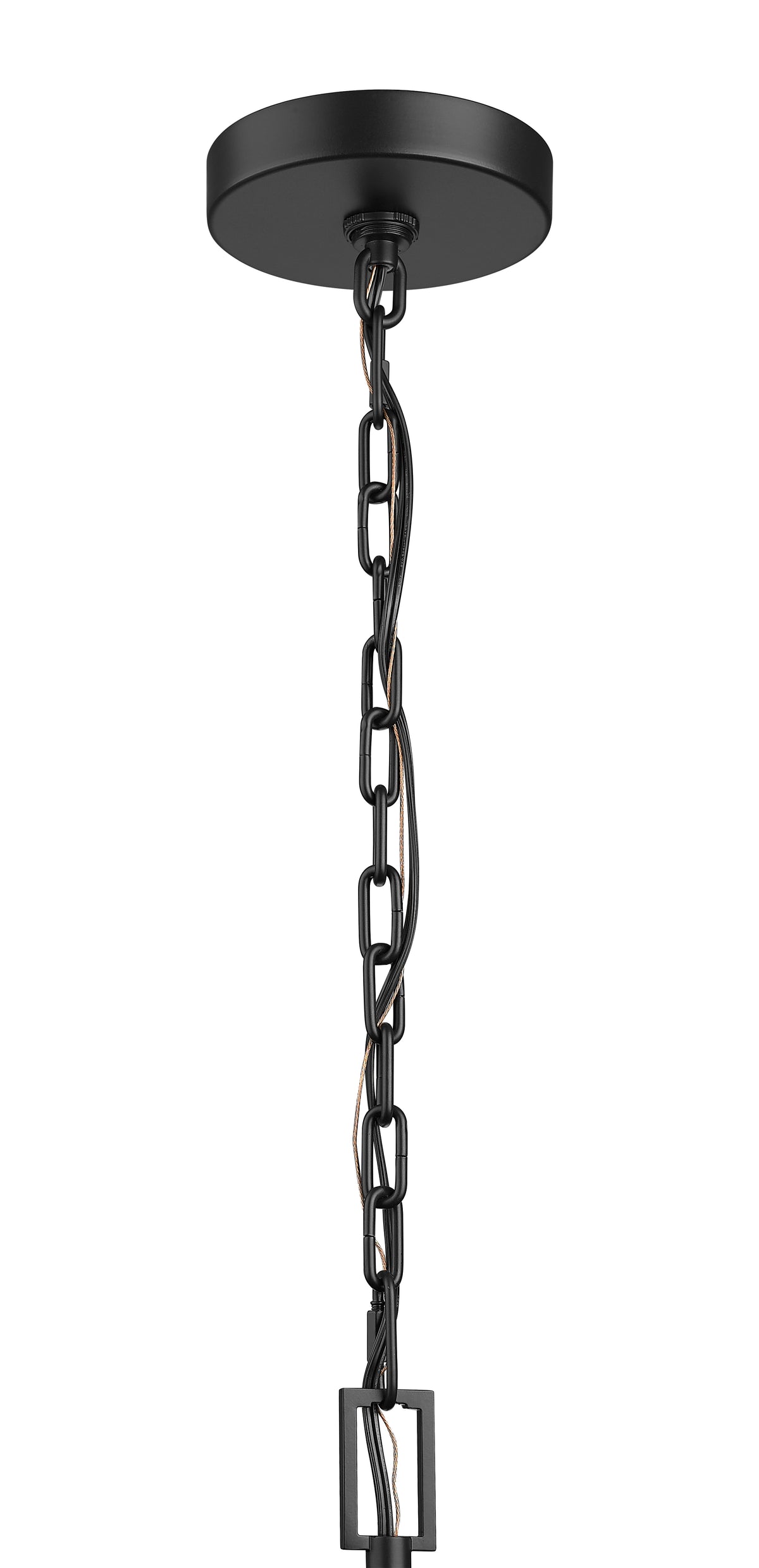 19.5'' Alpharetta Powder Coated Black 1 Light Hanging Lantern