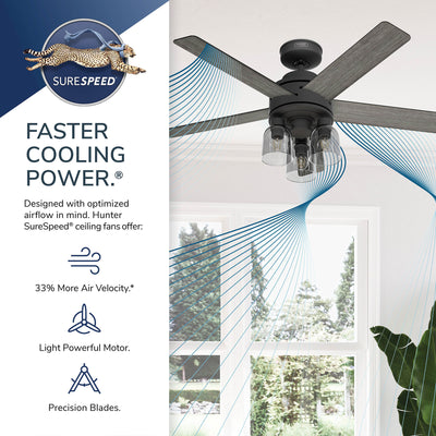 52 inch Lochemeade Matte Black Ceiling Fan with LED Light Kit and Handheld Remote